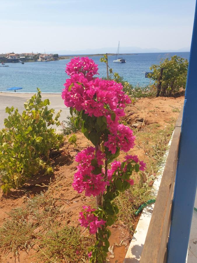 Sea View House * Archangelos (Laconia)